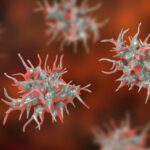 proteomics-maps-eye-infecting-acanthamoeba-mitochondria-across-oxygen-levels