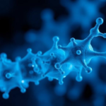 melatonin’s-healing-power-may-run-through-one-ancient-longevity-enzyme