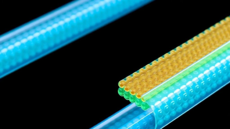 hyper-crosslinked-polymer-interlayer-nearly-doubles-water-flux-in-forward-osmosis-membranes