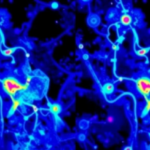 raman-imaging-team-defends-label-free-spectral-maps-against-criticism