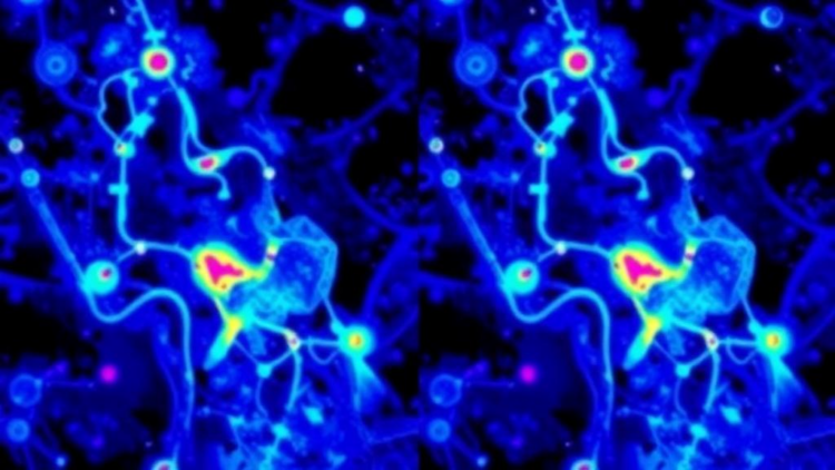 raman-imaging-team-defends-label-free-spectral-maps-against-criticism