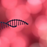 genetic-typing-of-tuberculosis-isolates-in-kerala-reveals-rare-bcg-disease-cases