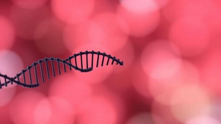 genetic-typing-of-tuberculosis-isolates-in-kerala-reveals-rare-bcg-disease-cases