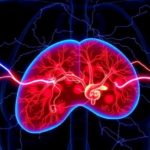 electric-fields,-not-heat:-non-thermal-ablation-shows-promise-for-hard-to-treat-liver-cancer