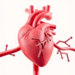 sglt2-inhibitors-found-to-repair-heart-metabolism-through-coenzyme-a-pathway