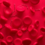 ten-blood-markers-could-predict-survival-in-multiple-myeloma,-study-of-812-patients-finds