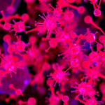t-cell-receptor-sequencing-reveals-immune-fingerprints-in-children-with-mycoplasma-pneumonia