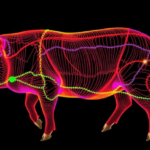 deep-protein-and-gene-maps-reveal-how-pig-muscle-fibers-flip-from-slow-to-fast