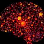 massive-single-cell-map-of-childhood-brain-tumor-reveals-immune-signal-that-predicts-survival