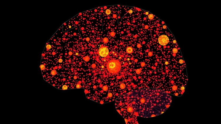 massive-single-cell-map-of-childhood-brain-tumor-reveals-immune-signal-that-predicts-survival