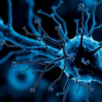 blocking-a-nerve-cell-receptor-could-make-morphine-work-better,-study-finds