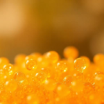 tiny-zinc-oxide-dots-on-a-borneol-polymer-wipe-out-bacteria-as-well-as-antibiotics
