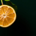 master-switch-found:-how-a-single-gene-triggers-bitter-compounds-in-citrus