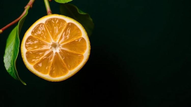 master-switch-found:-how-a-single-gene-triggers-bitter-compounds-in-citrus