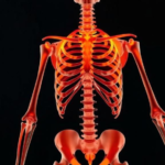 how-fire-rewrites-bone:-systematic-review-maps-heat-damage-in-human-skeletons
