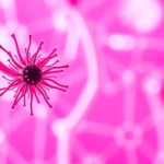 adding-immunotherapy-to-chemo-and-bevacizumab-extends-survival-in-recurrent-cervical-cancer