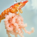 simple-sugar-dextrose-emerges-as-best-carbon-source-for-zero-exchange-shrimp-hatcheries