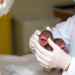 scientists-propose-framework-to-test-whether-oropouche-virus-harms-fetuses