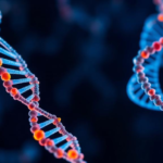 physicochemical-graphs-make-rna-location-predictions-interpretable-and-light