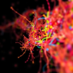 cellart-turns-blurry-spatial-gene-maps-into-crisp-single-cell-atlases