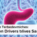 stress-chemical-npy-revealed-as-hidden-driver-of-liver-scarring