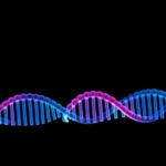 mrna-vaccine-paired-with-radiotherapy-shrinks-her2-positive-lung-tumors-in-mice