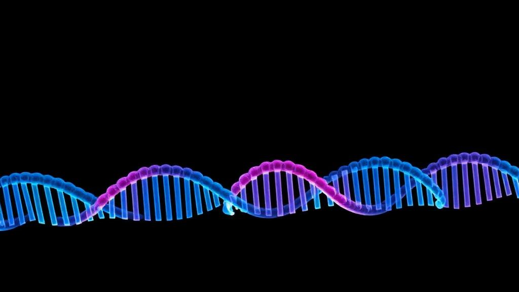 mrna-vaccine-paired-with-radiotherapy-shrinks-her2-positive-lung-tumors-in-mice