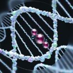 the-epitranscriptome-heads-toward-clinical-necessity