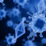 scientists-engineer-shear-resistant-prostate-cancer-cells-and-uncover-a-survival-gene