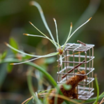 plant-fibers-meet-tiny-metal-cages-to-hunt-down-farm-chemical-pollution