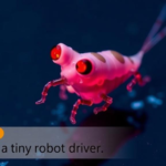 sound-as-a-tiny-robot-driver:-how-acoustic-fields-move-cells-and-microswimmers