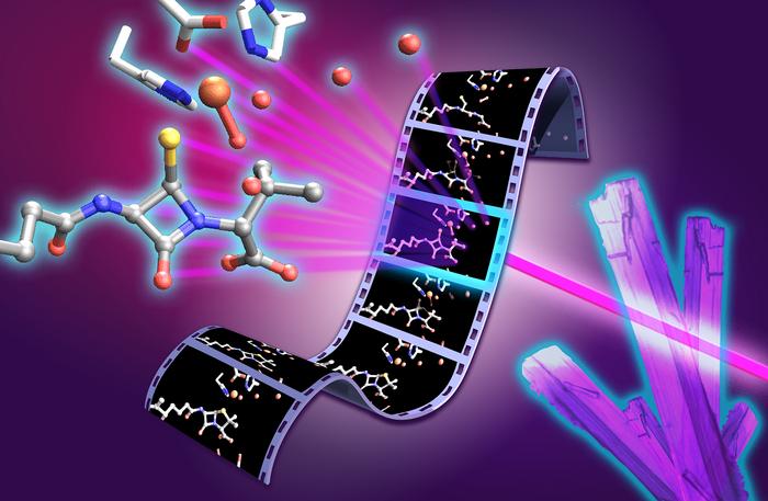 ‘molecular-movie’-of-penicillin-synthesis-could-inform-future-antibiotic-development