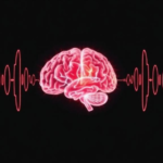 simulated-annealing-searches-brain-signal-ensembles,-but-a-noisy-signal-undercuts-it