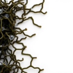 seaweed-extract-reshapes-zinc-oxide-nanoparticles,-controlled-study-shows