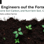hidden-engineers-of-the-forest-floor:-shrubs-rewire-soil-carbon-and-nutrient-cycling