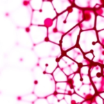 blood-test-could-replace-tumor-biopsies-for-personalized-cancer-immunotherapy
