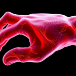 scientists-uncover-the-molecular-switch-that-reshapes-aging-muscle