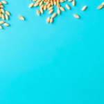 from-oil-mill-waste-to-superfood:-the-hidden-protein-goldmine-in-seed-byproducts