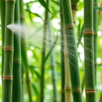 a-simple-amino-acid-spray-boosts-bamboo-leaf-growth,-study-finds