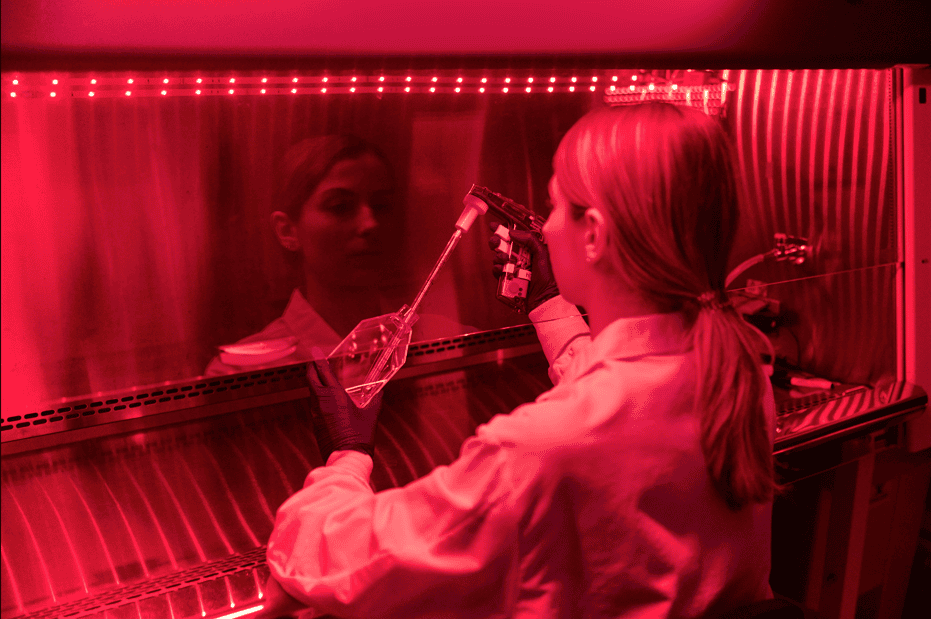 the-top-10-questions-shaping-the-future-of-optogenetic-biomanufacturing