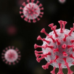 cell-penetrating-receptor-mimic-delivers-a-long-sought-blow-against-enteroviruses