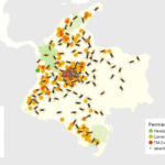 mosquito-genes-map-colombia’s-hidden-aedes-aegypti-lineages