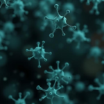 bacterial-enzymes-reveal-a-hidden-nadph-weakness-in-aging-cells