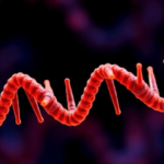 tiny-genetic-switches:-how-microexons-quietly-rewire-where-proteins-live-in-our-cells