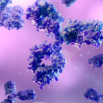 preterm-birth-for-some-women-linked-to-specific-autoantibodies