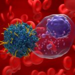contracting-expansion:-a-path-to-better-car-t-cell-therapy-production