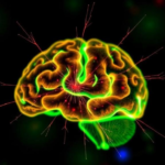 brain-tumor-biomarker-survives-tough-test:-mgmt-signal-holds-after-batch-effect-scrutiny