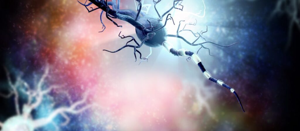 how-alzheimer’s-risk-gene-apoe4-disrupts-myelination