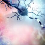 how-alzheimer’s-risk-gene-apoe4-disrupts-myelination