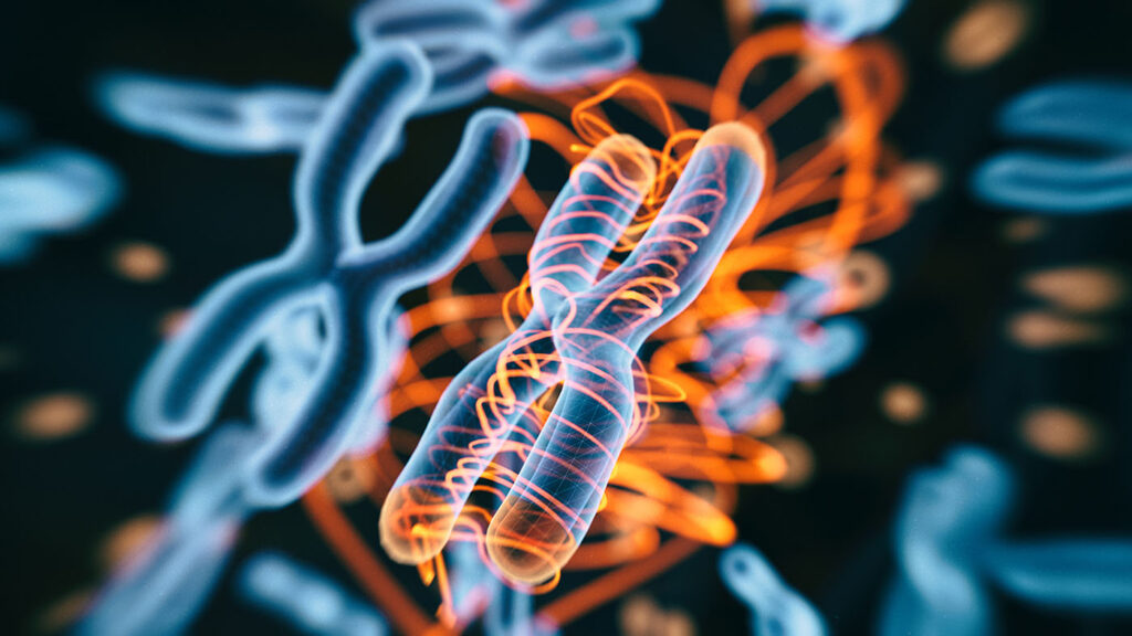 illumina-combines-multiomics-informatics-applications-in-new-bioinsight-platform
